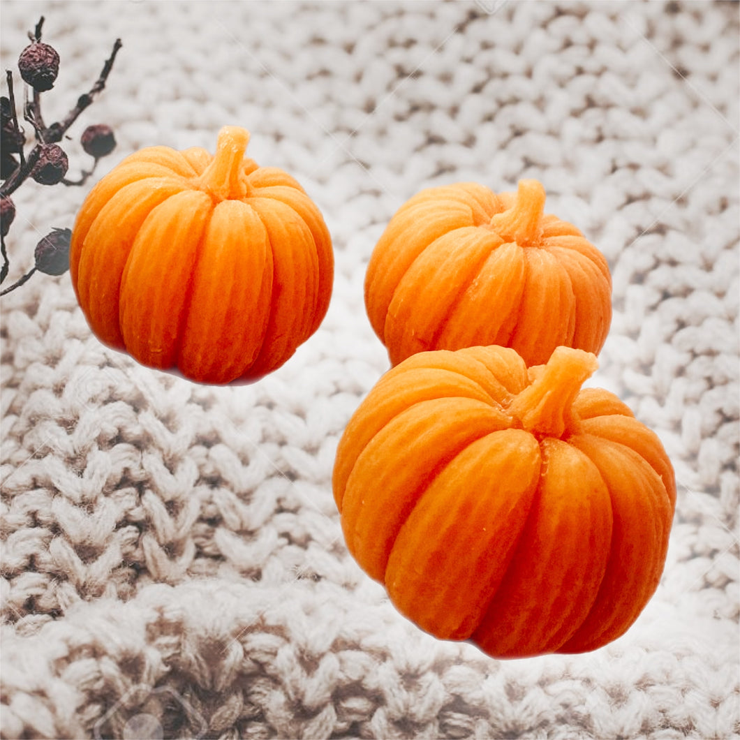 3D Pumpkin Scented Wax Melts - Choice of Scents